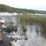 ...and mud!