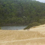 P1120279-1
