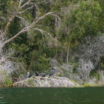 P1120291-1