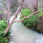 Some braved it!